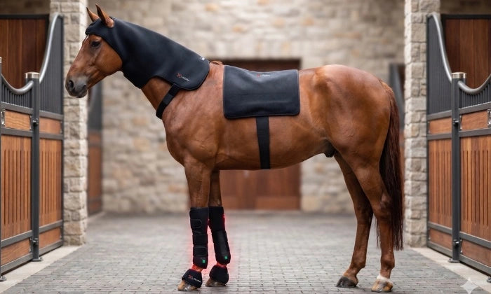 Professional applying wrap