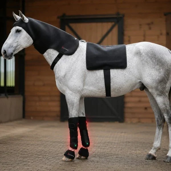 Infrarood therapie voor paarden