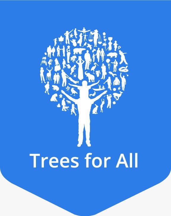 Plant A Tree - Liroma